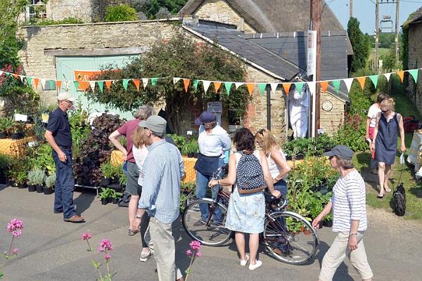 Allotments Association plant stall.jpg